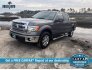 2014 Ford F150 for sale 101657768