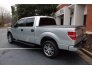 2014 Ford F150 for sale 101686420