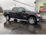 2014 Ford F150 for sale 101687363