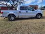 2014 Ford F150 for sale 101693096