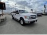 2014 Ford F150 for sale 101704168