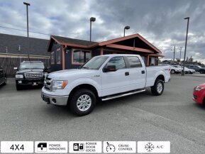 2014 Ford F150 for sale 101704168