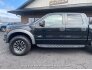 2014 Ford F150 for sale 101719042