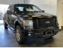 2014 Ford F150 for sale 101728834