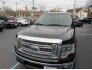 2014 Ford F150 for sale 101730926