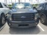 2014 Ford F150 for sale 101742072