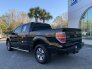 2014 Ford F150 for sale 101753783