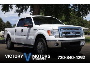2014 Ford F150 for sale 101754358