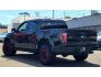 2014 Ford F150 for sale 101755740