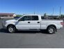 2014 Ford F150 for sale 101764309