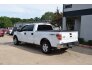 2014 Ford F150 for sale 101782942