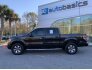 2014 Ford F150 for sale 101786433