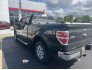2014 Ford F150 for sale 101788563