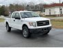 2014 Ford F150 for sale 101808780