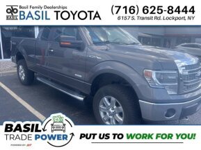 2014 Ford F150 for sale 101811490