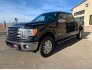 2014 Ford F150 for sale 101812080