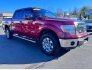 2014 Ford F150 for sale 101815717