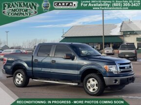 2014 Ford F150 for sale 101824072
