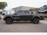 2014 Ford F150 for sale 101836671