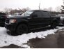 2014 Ford F150 for sale 101842315