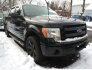 2014 Ford F150 for sale 101842315
