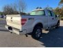 2014 Ford F150 for sale 101843752