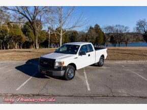 2014 Ford F150 for sale 101848418
