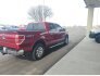 2014 Ford F150 for sale 101848622