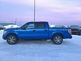 2014 Ford F150 for sale 101986159