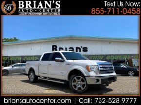 2014 Ford F150 for sale 101855071