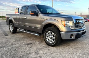 2014 Ford F150 for sale 101913667