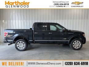 2014 Ford F150 for sale 101918502
