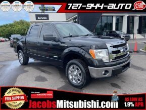 2014 Ford F150 for sale 101941500