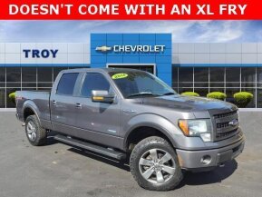 2014 Ford F150 for sale 101949379