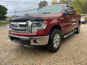 2014 Ford F150 for sale 101958790