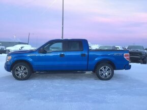 2014 Ford F150 for sale 101986159