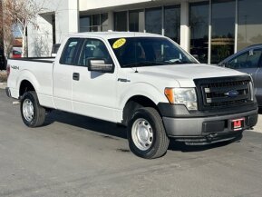 2014 Ford F150 for sale 102000031