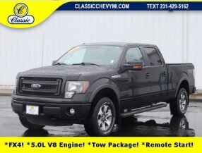 2014 Ford F150 for sale 102010982