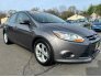 2014 Ford Focus for sale 101734198