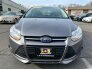 2014 Ford Focus for sale 101734198