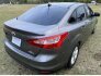 2014 Ford Focus for sale 101817530