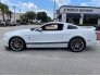 2014 Ford Mustang for sale 101580541