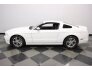 2014 Ford Mustang for sale 101637500