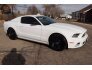 2014 Ford Mustang for sale 101666695
