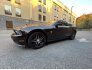 2014 Ford Mustang for sale 101672846