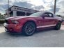 2014 Ford Mustang for sale 101679155