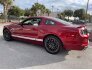 2014 Ford Mustang for sale 101679155
