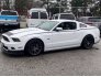2014 Ford Mustang GT Coupe for sale 101686403