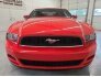 2014 Ford Mustang for sale 101737966