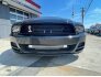 2014 Ford Mustang for sale 101780540